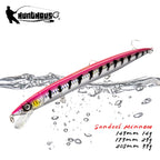 Hunthouse Floating Minnow Fishing Lure 143mm/14g 173mm/23g 208mm/33g Long Casting Seawater Hard Bait For Trout Seabass Tackle