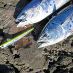 Hunthouse Bay RUF MANIC 75&99&155mm 8&18.5&31.5g Sinking Pencil Fishing Lure Saltwater Stickbait For Fishing Sea Bass