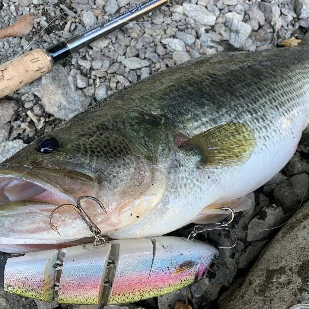 TSUYOKI Jointed Bait 170/200mm Floating/Sinking Fishing Lures Madness Balam 200 Swimbait Wobbler Freshwater Big Pike Muskie Lure