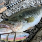 TSUYOKI Jointed Bait 170/200mm Floating/Sinking Fishing Lures Madness Balam 200 Swimbait Wobbler Freshwater Big Pike Muskie Lure