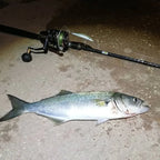 TSUYOKI Sinking Artist Minnow Bait 80mm 9g Jerkbait Swimbait Jackson Artist FR80 Minnow Wobbler for Bonito Seabass King Mackerel