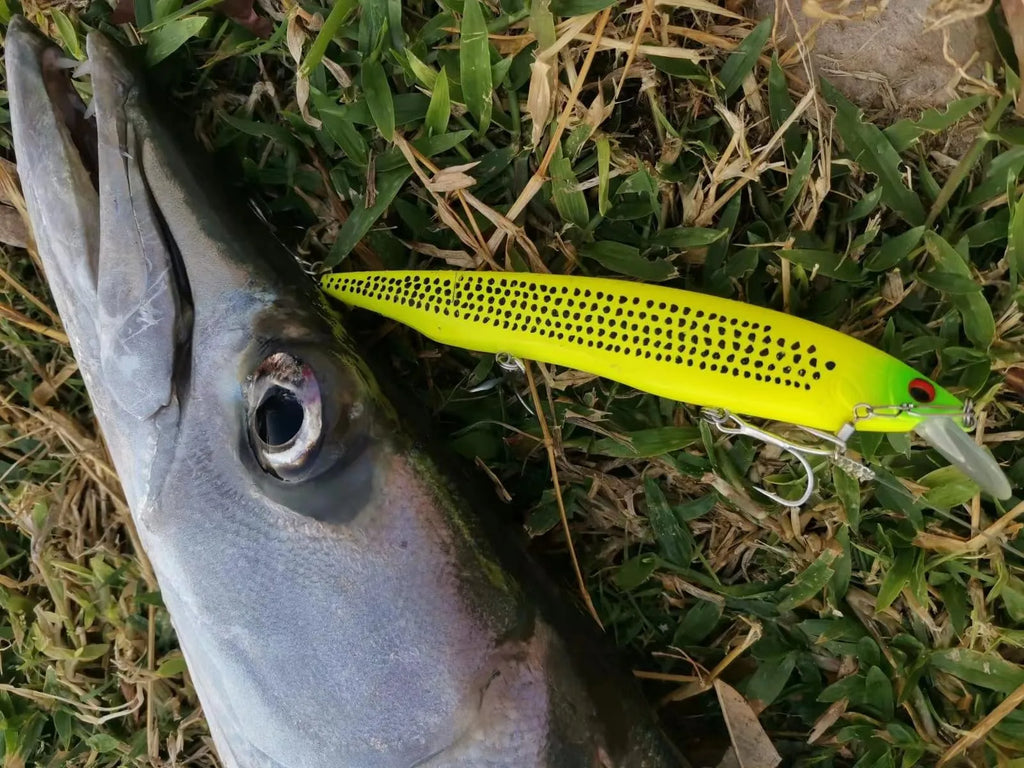 TSUYOKI Barracuda Lures 160mm 30g Minnow Wobbler Kanata 160F Saltwater Minnows Jerkbaits Floating Magabass Kanata Ayu 160 F SW