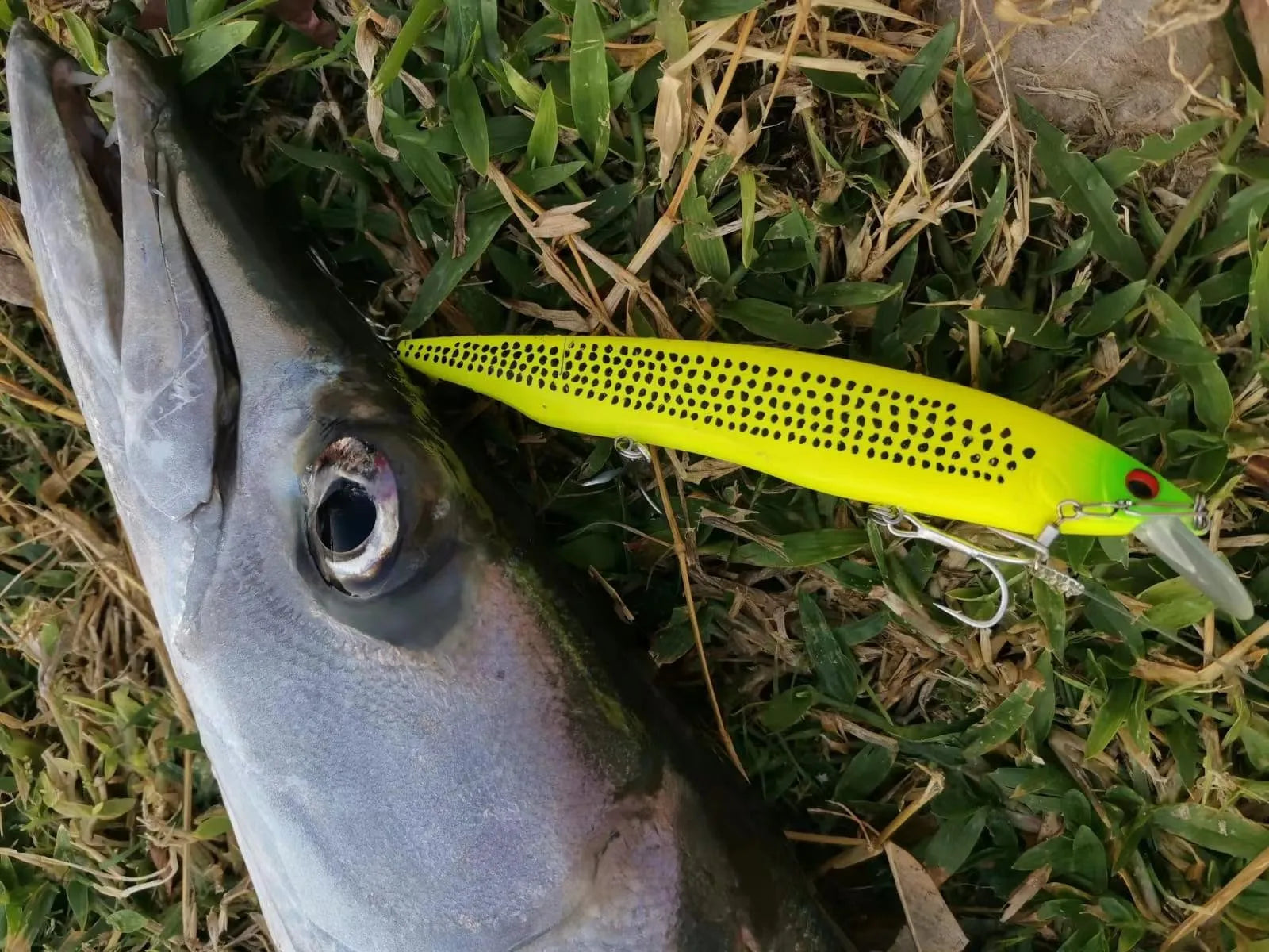 TSUYOKI Barracuda Lures 160mm 30g Minnow Wobbler Kanata 160F Saltwater Minnows Jerkbaits Floating Magabass Kanata Ayu 160 F SW