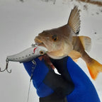 TSUYOKI Spinning Rattlin Vibration Ice VIB Lure, Wobbler, Ima Bait, Bassday Range Vibe, 70 Balance Rattin Lures, 23g, 33g, 2024