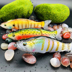 TSUYOKI I-Slide 135 SwimBaits Fishing Lure Jointed Glide Bait Islide 135mm 28g Glidebait Swimbait Sinking Wobbler For Bass Pike