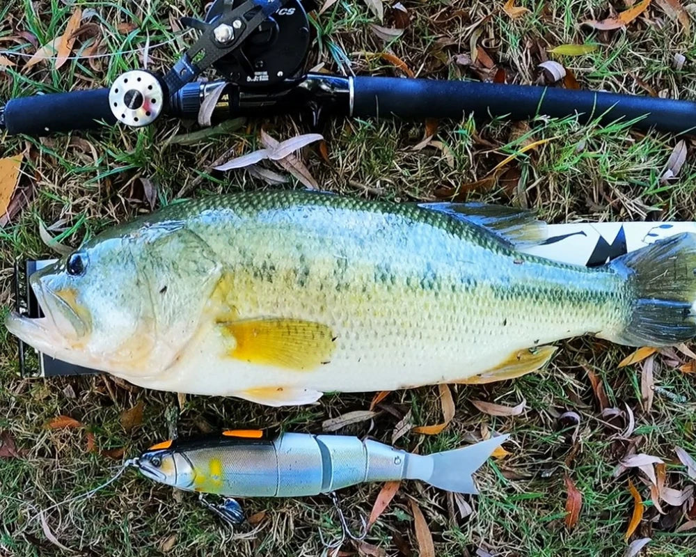 TSUYOKI Balam 245 Swimbait Fishing Lures 105g/118g Sinking Jointed Bait Floating Giant Bait Pesca Lures for Pike Largemouth Bass