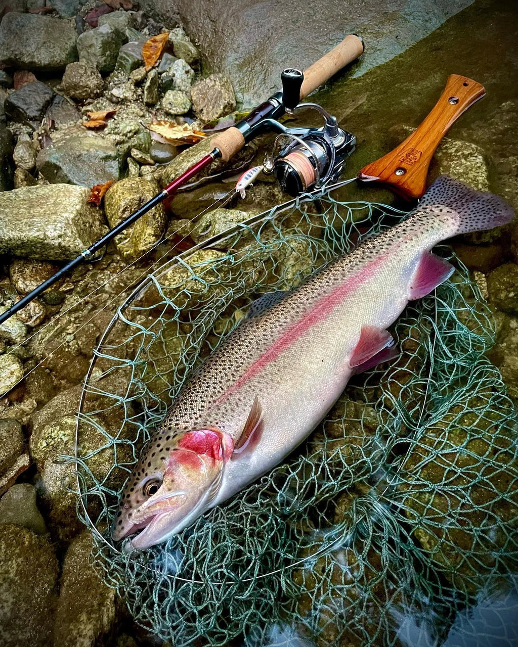 TSUYOKI Sinking Minnow Stream Lure 46mm 5g Jerkbaits Wobbler Bait for Rainbow Trout Bass Duo Spearhead Ryuki 46 Fishing Tackle