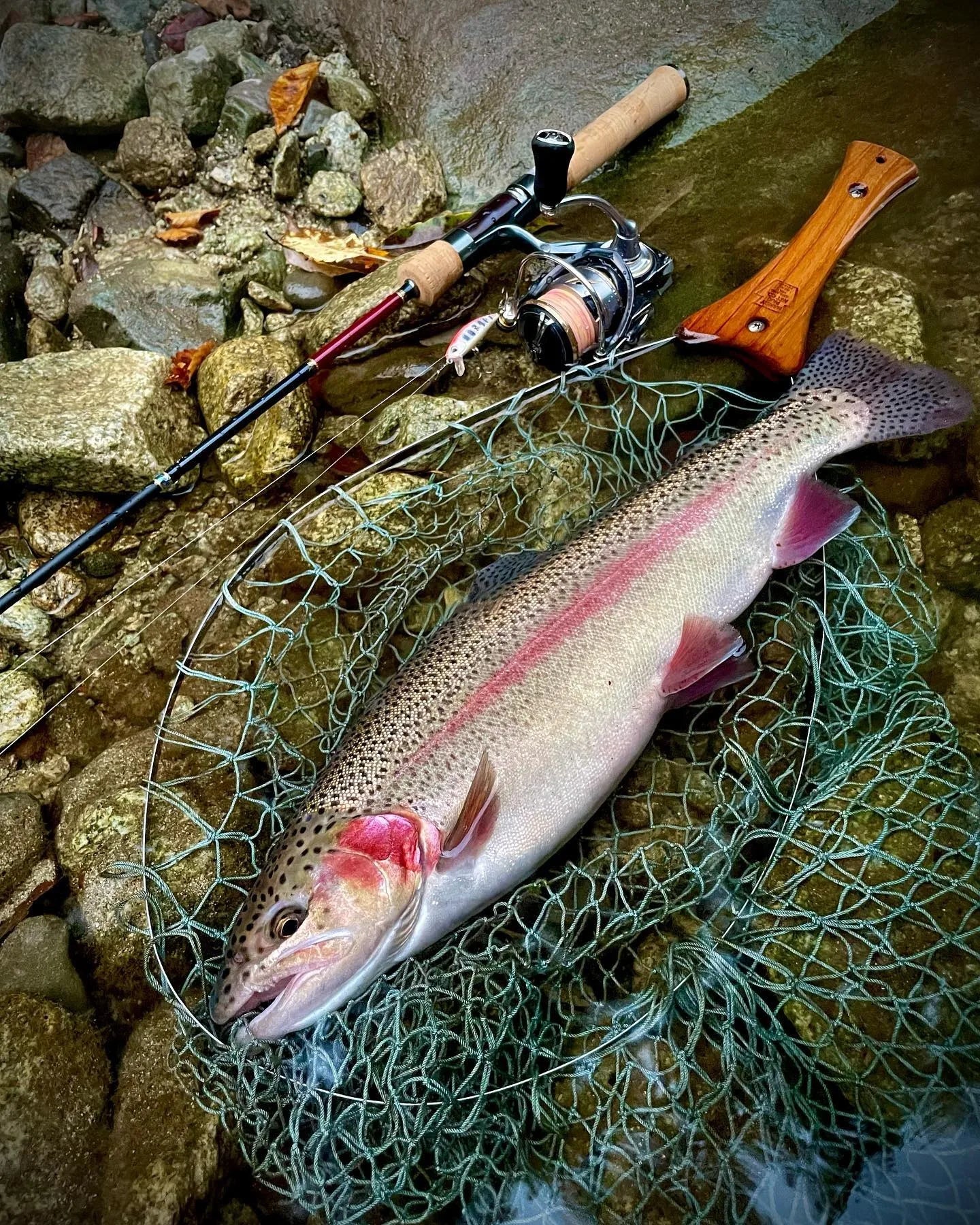 TSUYOKI Sinking Minnow Stream Lure 46mm 5g Jerkbaits Wobbler Bait for Rainbow Trout Bass Duo Spearhead Ryuki 46 Fishing Tackle