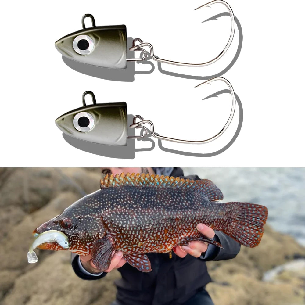 TSUYOKI 2PCS/Bag Jig Head Fishing Lure 5g 10g 15g 25g 40g Jigging Lure for Seabass Grouper Artificial Jigging Head Spinning Bait