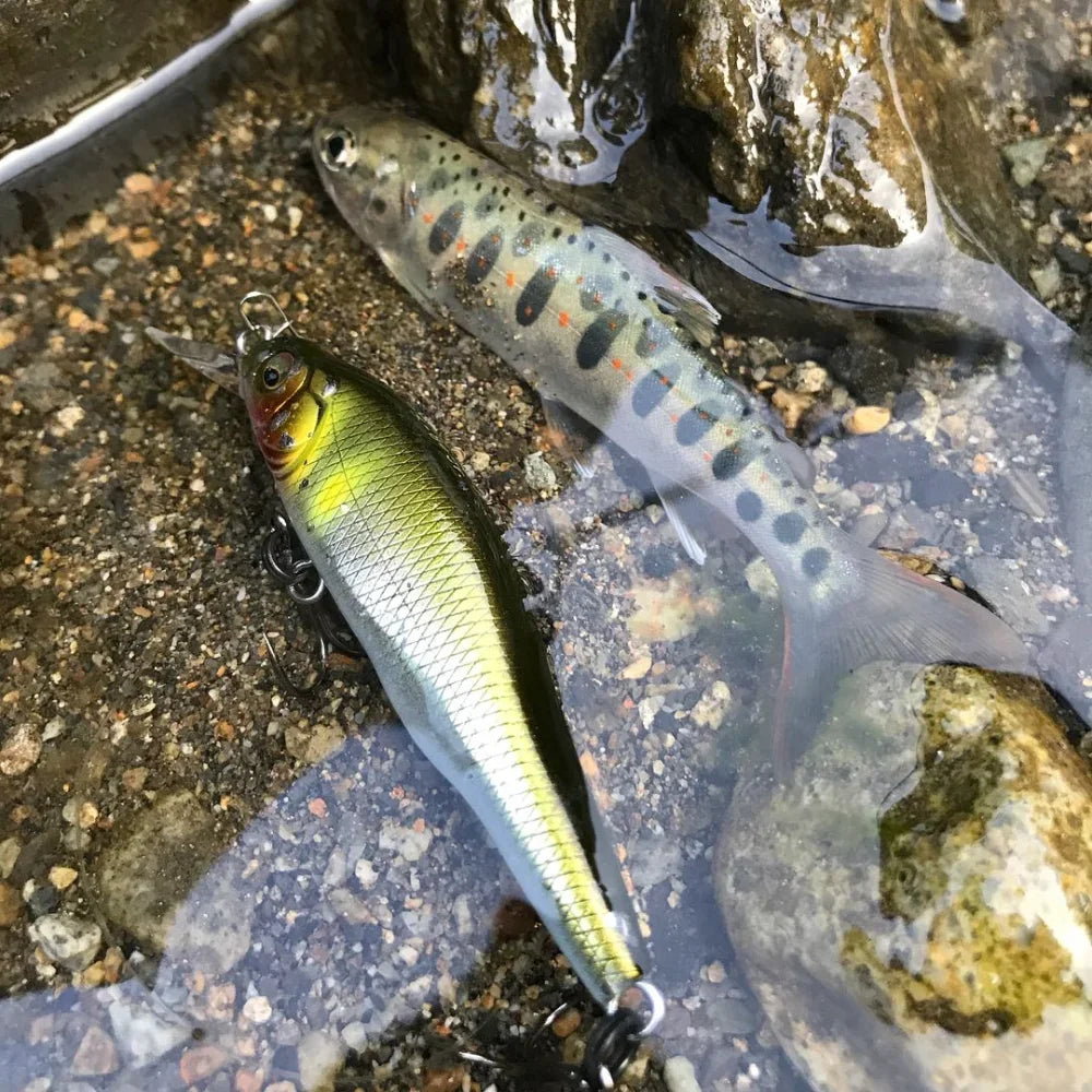 TSUYOKI Minnow Fishing Lure Wobbler for Freshwater Trout Artificial Bait Pike Carp Swimbait Jackall GH 70 Flatside jerkbaits