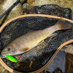 TSUYOKI Sinking Minnow Stream Lure 46mm 5g Jerkbaits Wobbler Bait for Rainbow Trout Bass Duo Spearhead Ryuki 46 Fishing Tackle