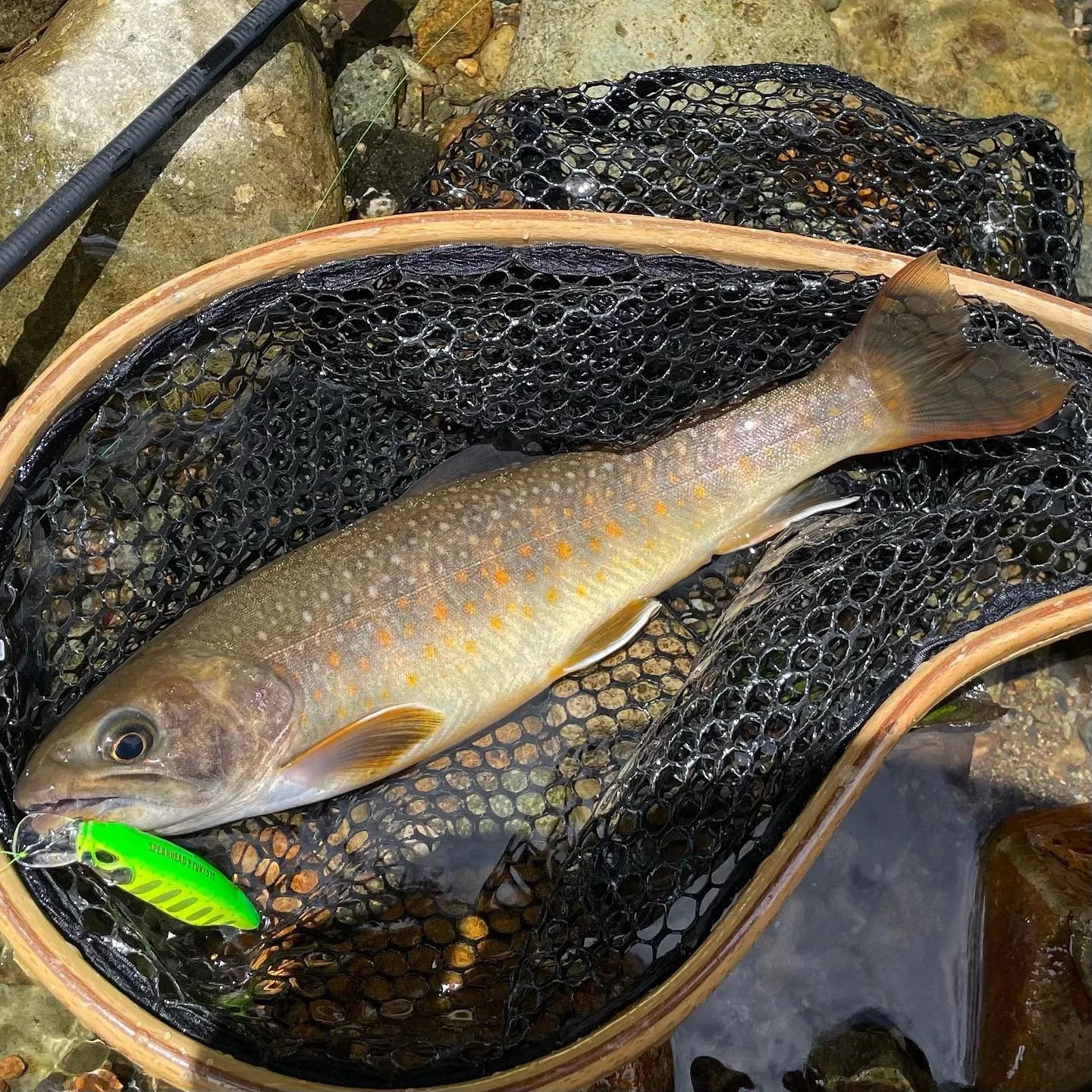 TSUYOKI Sinking Minnow Stream Lure 46mm 5g Jerkbaits Wobbler Bait for Rainbow Trout Bass Duo Spearhead Ryuki 46 Fishing Tackle