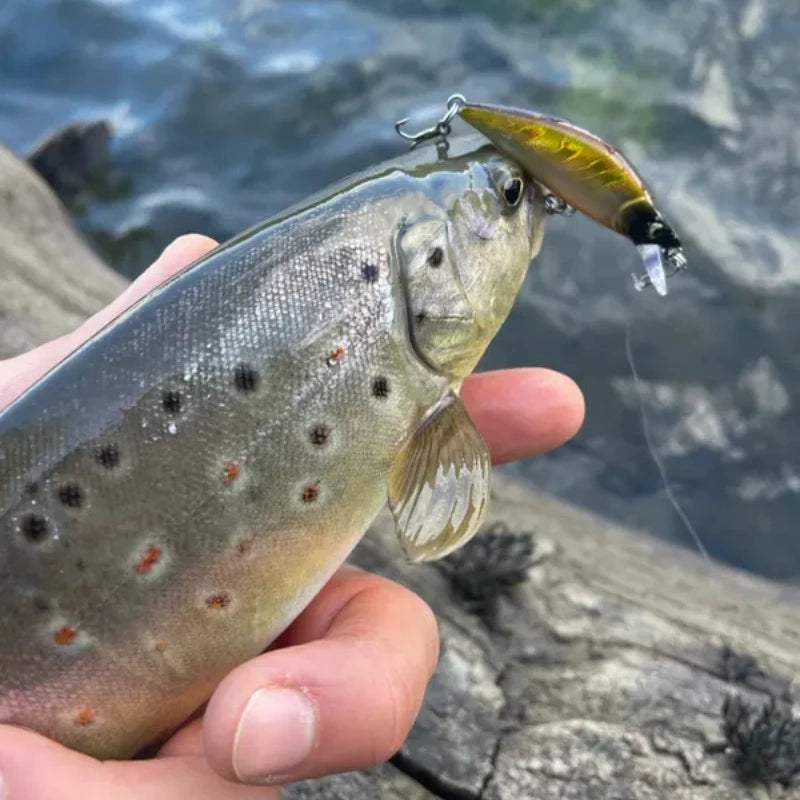 TSUYOKI 50mm 5g Artificial Wobblers Stream Bait Sinking Minnow Fishing Lure for Black Bass Brown Trout Bassday Mononofu 50S Bait
