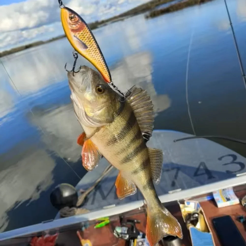 TSUYOKI 20/30/50g Sinking Jerkbait Slider Swim Glidebait 120 Westin Artificial Wobblers Loud Sound Fishing Lure for Pike Zander