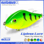 Hunthouse Crankbaits Jerkbait VIB Fishing Lure Freshwater Slow Sinking 7cm/17g 10cm/47g Pike Pesca Leurre Loud Sound Lw130