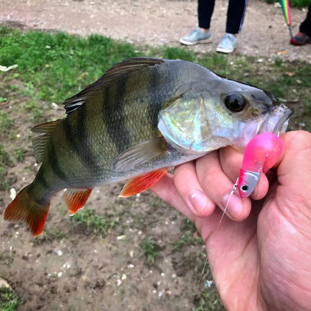 TSUYOKI Fishing Black Minnow Lure 5g/10g/15g/25g/40g Jigging Head Soft Silicone Bait Wobblers For Bass Pike Leurre Easy Shinner