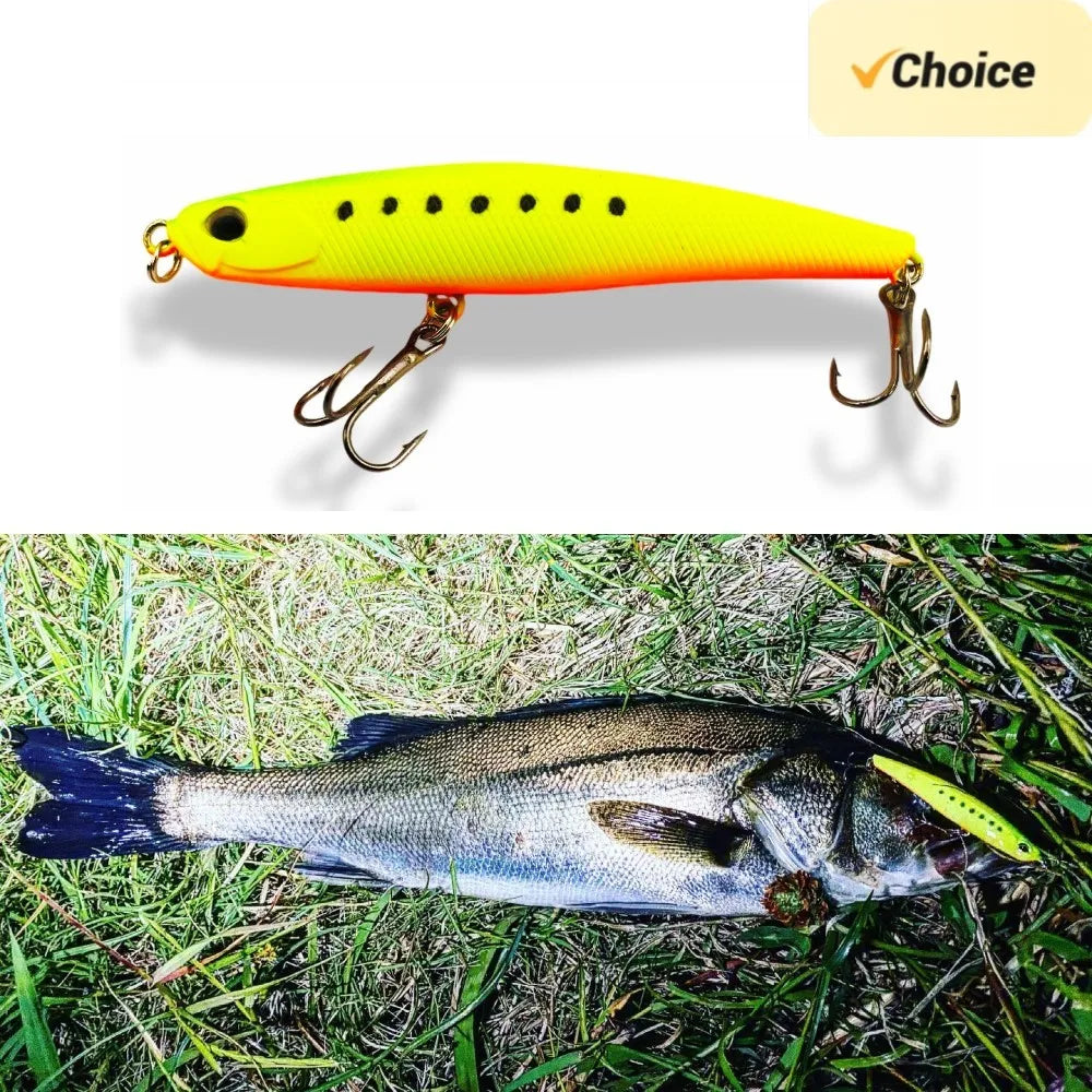 TSUYOKI Sinking Pencil 2024 Fishing Lure 68mm 7.7g Stickbait Japan DUO Bay RUF Seek 68S Sinking SeaBass Lure Fishing Saltwater