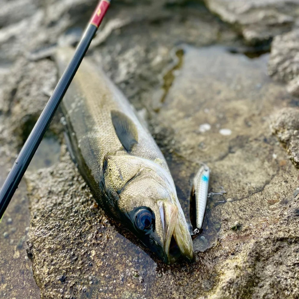 TSUYOKI Sinking Pencil Popper Lure 80mm 18g Japan Fishing Lure Ima Yoichi 80 Stickbait Wobbler for Barracuda SeaBass Bluefish