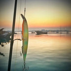TSUYOKI Barracuda Lures 160mm 30g Minnow Wobbler Kanata 160F Saltwater Minnows Jerkbaits Floating Magabass Kanata Ayu 160 F SW