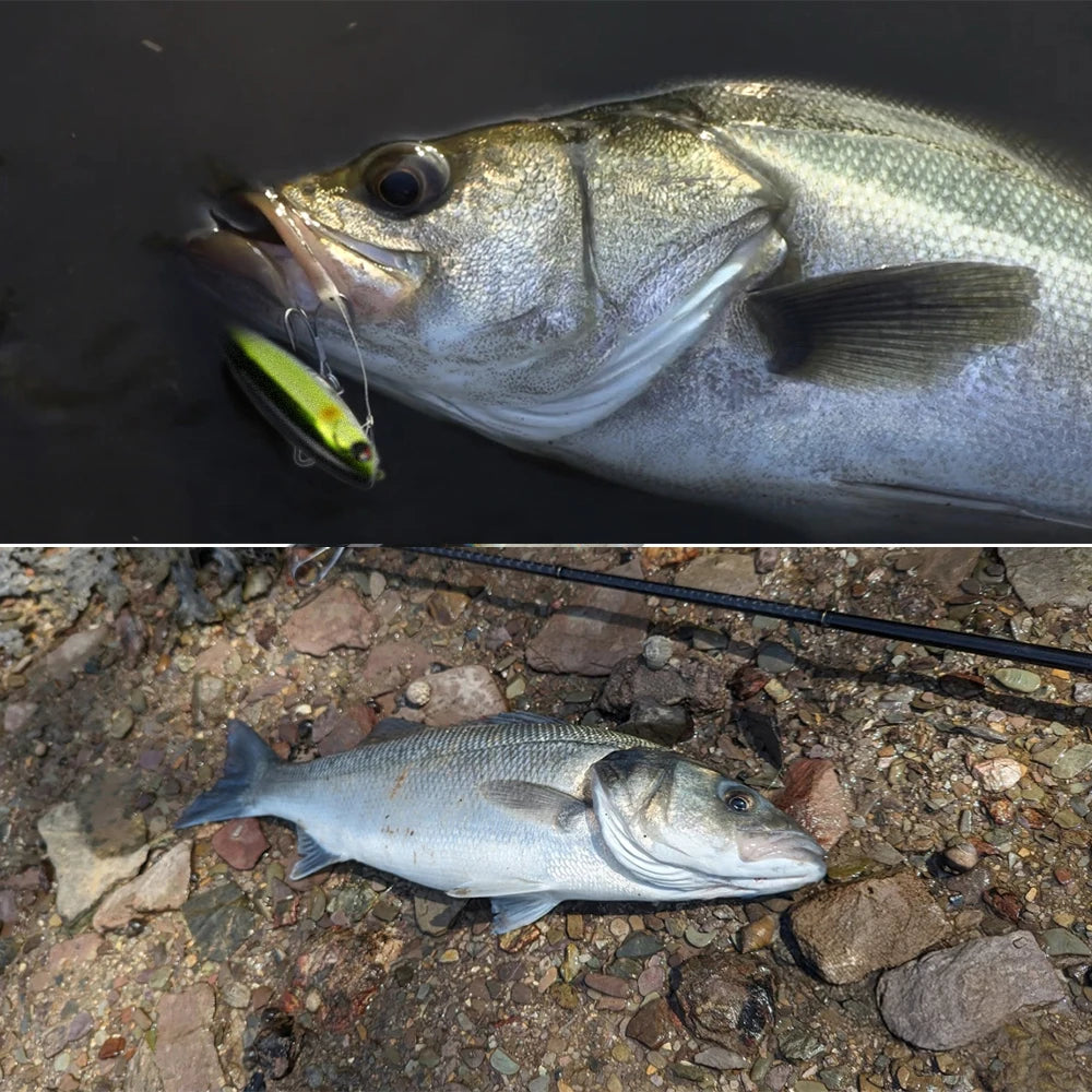 Hunthouse Floating Pencil Fishing Lure 100mm/17.6g Surface Rattle Ball Hard Baits Topwater WTD For Pike Bass Fish Tackle