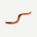 Kingdom Earthworm Soft Plastic Worm for Bass